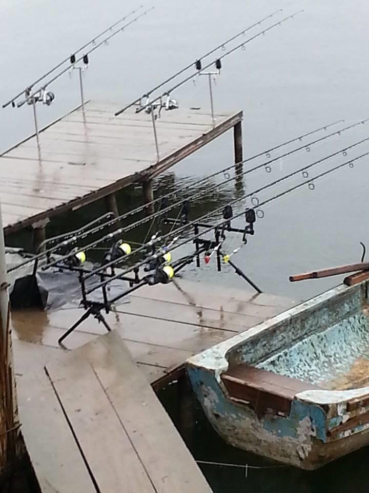 Tancabesti 1 - 2 mar. - x2.jpg